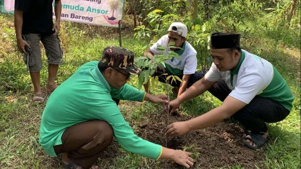 Gerakan Tanam Bibit Buah Upaya Ansor Bareng Kembangkan Potensi