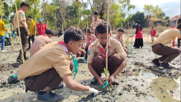 Jaga Ekosistem Laut Santri Nasyrul Ulum Sumenep Tanam Mangrove Nu