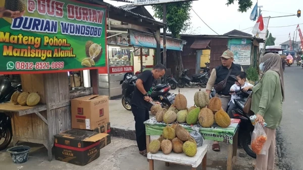 Ingin Punya Tempat Permanen Jual Durian Berawal Dari Hobi