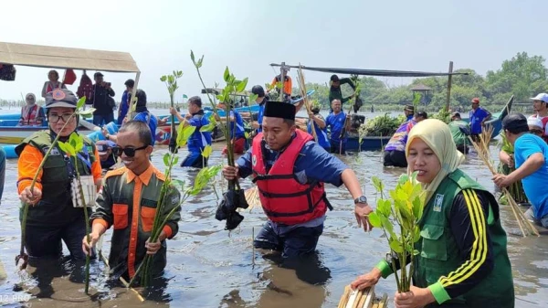 LPBINU Pasuruan Tanam 10 Ribu Bibit Mangrove Peringati Hari Santri NU