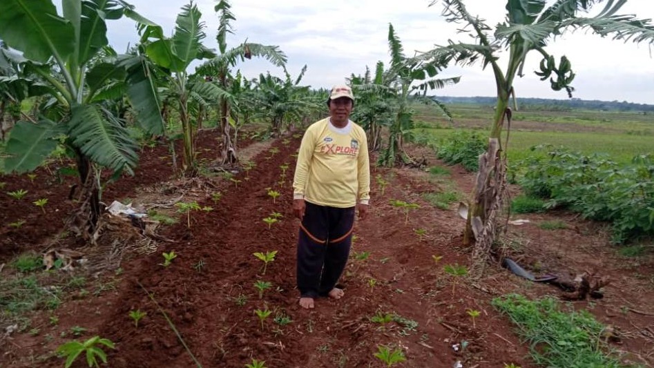 Petani Indramayu Keluhkan Harga Pupuk Di Pasaran 2 Kali Lipat Lebih ...