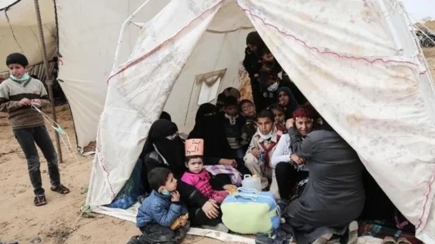 UNHCR: 117,3 Juta Orang di Dunia Mengungsi Secara Paksa