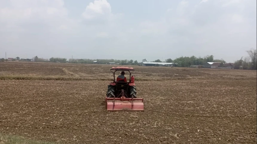 Akademisi Ungkap Profesi Petani Makin Tak Menarik bagi Generasi Muda, Ini Penyebabnya