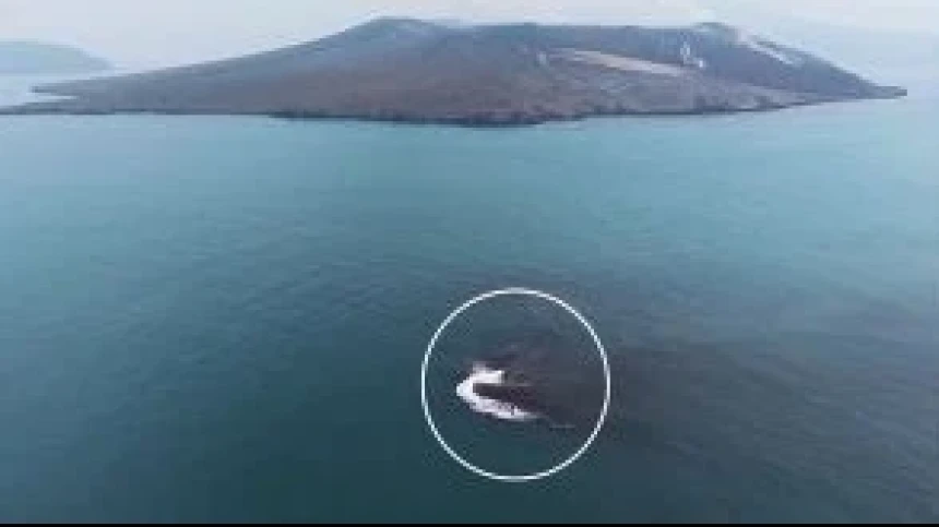 Ada Daratan Baru di Sekitar Anak Krakatau, Ini Penjelasan BMKG