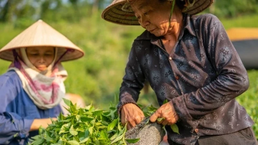 May Day 2026, SPI Dorong Pelaksanaan Reforma Agraria untuk Keadilan dan Kesejahteraan Petani dan Buruh