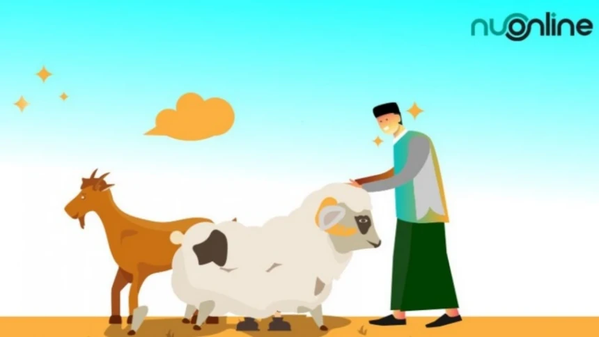 Sejarah Kurban dan Perdebatan Ulama Terkait Nabi yang Akan Disembelih