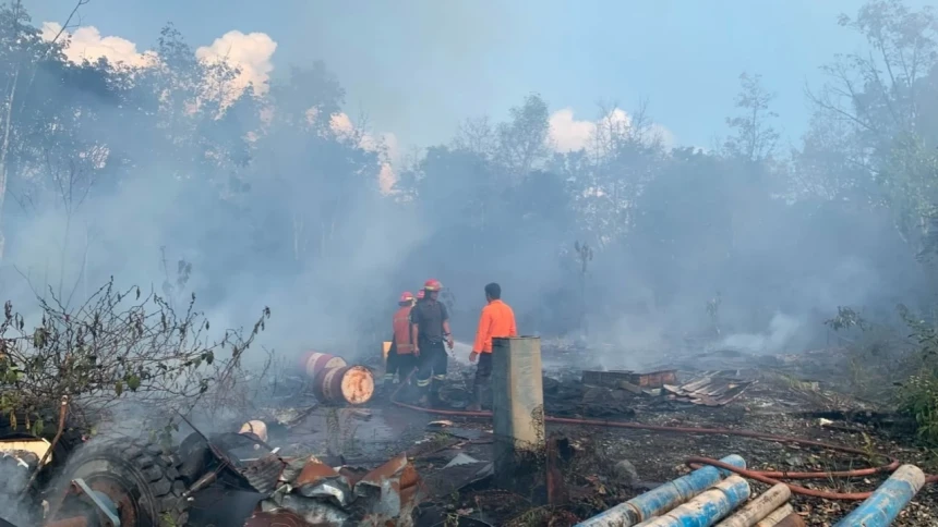 Kebakaran Hutan Meluas di 6 Provinsi, BNPB Tekankan Daerah Perkuat Kesiapsiagaan