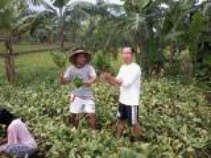 Dukung Swasembada Pangan, NU Bogor Giatkan Santri Tani