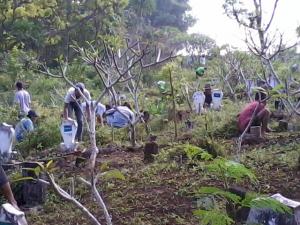 Tradisi Bubak, Gotong Royong Berbakti kepada Para Leluhur