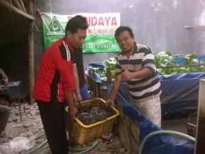 Ansor Kota Tegal Garap Budi Daya Ikan dan Lahan