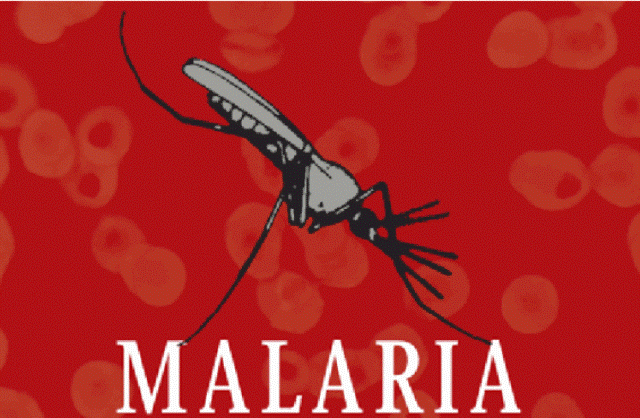 Penelitian: Malaria Sudah Ada Sejak Zaman Kekaisaran Romawi