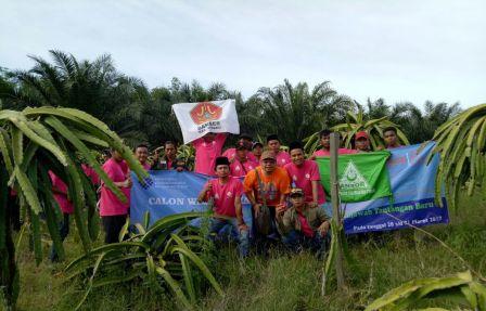 Ajarkan Kemandirian, Ansor Latih Kader Tanam Buah Naga