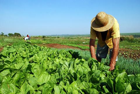Reforma Agraria, Upaya NU Hilangkan Kesenjangan Ekonomi