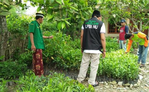 Konsisten Jaga Lingkungan, LPBINU Sampang Tanam Sejuta Pohon