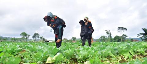 Ini Sejumlah Alasan Mengapa Jatuh Cinta Gabung Ansor