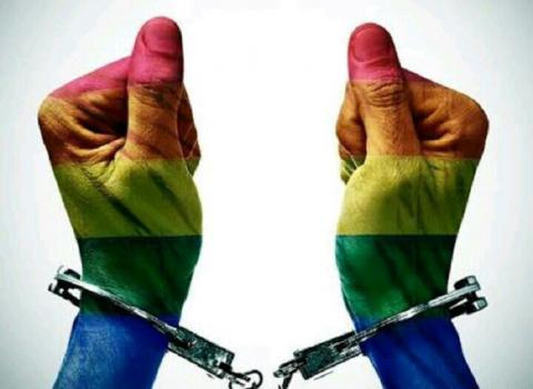 MUI Dorong Pemerintah Pidanakan Pelaku LGBT