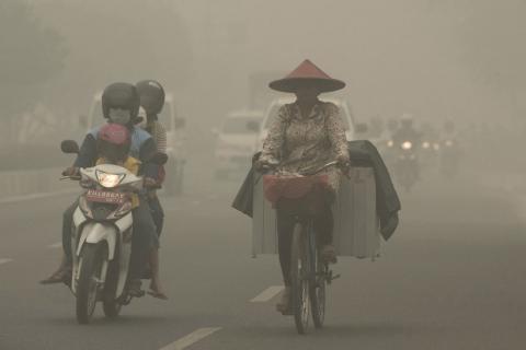 Kebakaran Hutan dan Lahan, Masalah Reputasi Negara