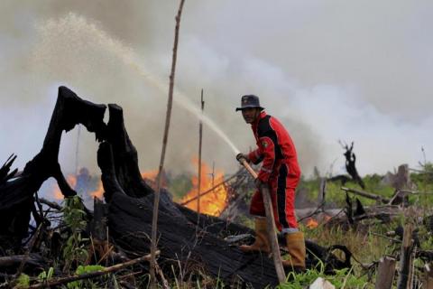 LPBINU Imbau Hindari Pembakaran untuk Buka Lahan