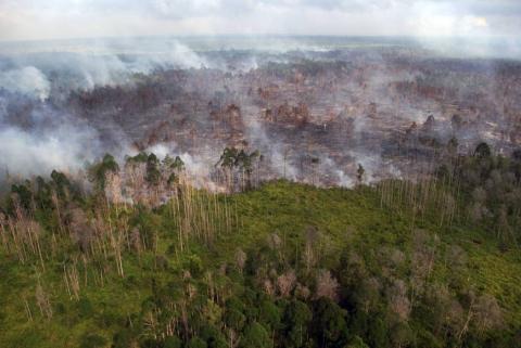 Cegah Karhutla, Butuh Peningkatan Masyarakat Peduli Api