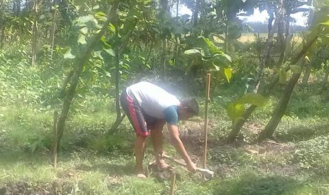 Wujudkan Kemandirian, Pemuda Malang Tanam Buah Naga