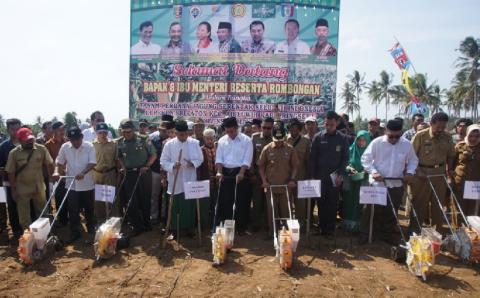 PBNU-Kementan Gulirkan Bantuan untuk Petani Jagung