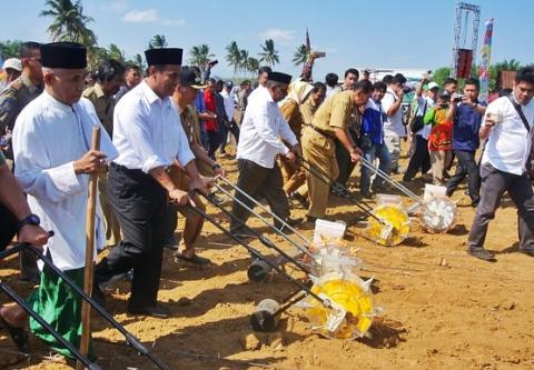 Meningkatkan Kesejahteraan Para Petani Jagung