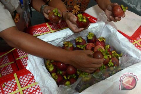 Edukasi Petani Manggis Diperlukan untuk Tingkatkan Kualitas