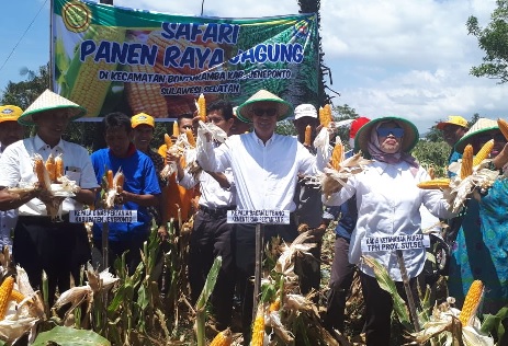 Petani Jagung Sulsel Rayakan Hari Pahlawan dengan Panen Raya