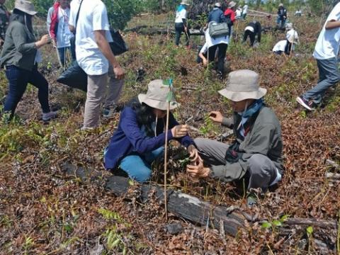 BRG Ajak Kaum Milenial Jadi Pelopor Kesehatan Gambut