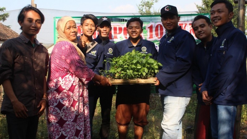 Manfaatkan Pekarangan Rumah, Tani Millenial dan Kaum Emak di Jombang Tanam Holtikultura