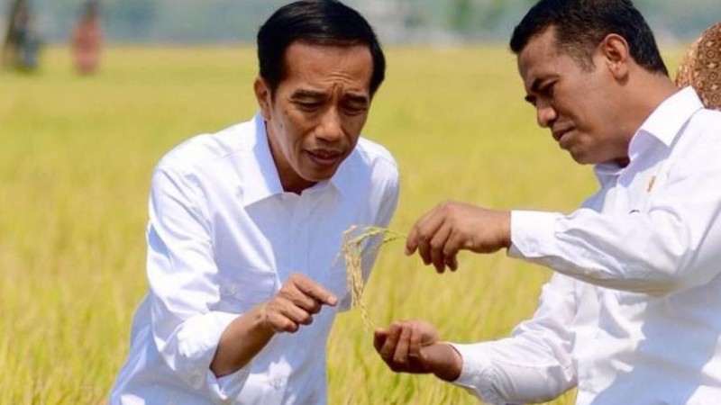 Wujudkan Pertanian 4.0, Presiden Jokowi Minta Petani Olah Ladang Tanpa Bakar