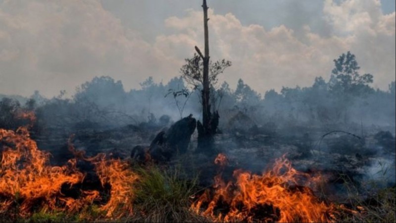 Rugikan Warga, Kiai Anwar Iskandar: Bakar Hutan Haram!