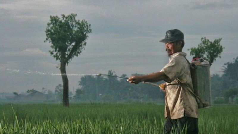 Durasi Kontrak Akad Musaqah yang Perlu Diketahui Petani Penggerap dan Pemilik Lahan