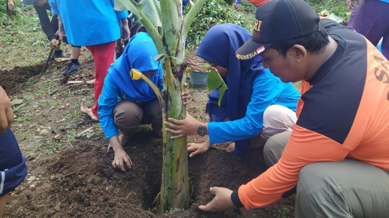IPNU-IPPNU di Mojokerto Berdayakan Ekonomi dengan Pohon Pisang