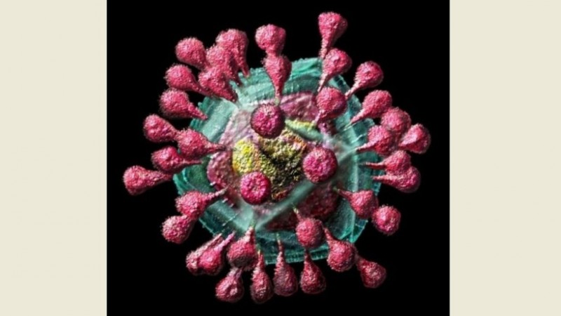 Makin Meluas, Ini 55 Negara yang Terjangkit Virus Corona
