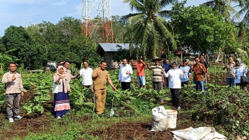 34 Hektare Lahan Gambut di Riau Direstorasi untuk Pertanian