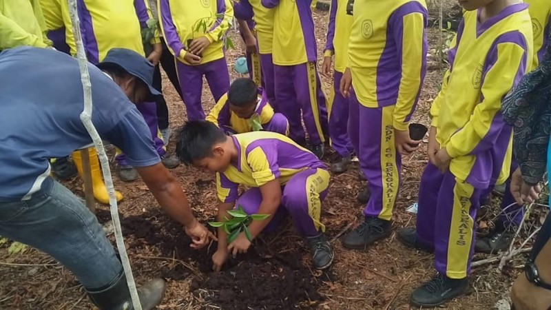 20 Hektare Gambut di Riau Dihijaukan BRG  