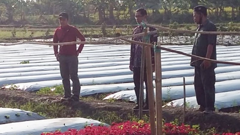 Rintis Kelompok Usaha Bersama, LPPNU Bojonegoro Kembangkan Pertanian
