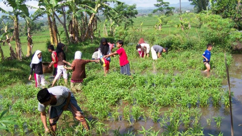 Pesantren Ekologi Ath-Thaariq Garut: Terapkan Kurikulum Bertani dan Berkebun