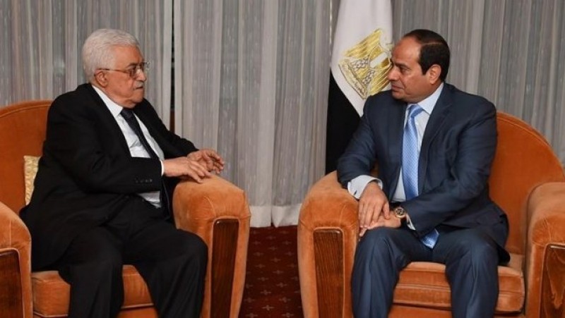 Mesir Janji Dukung Penuh Palestina
