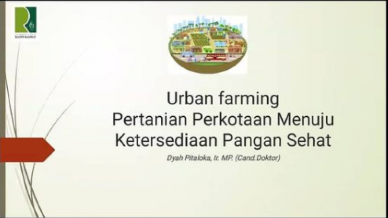 Urban Farming Jadi Solusi Masyarakat Perkotaan Masa Kini | NU Online Jatim