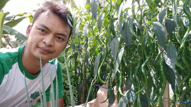 Harga Cabai Mahal, Lembaga Pengembangan Pertanian NU Cianjur Ajak Masyarakat Tanam Sendiri