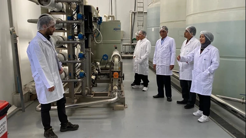 Visit ke Pabrik Gula Stevia di Chile ​​​​​​​