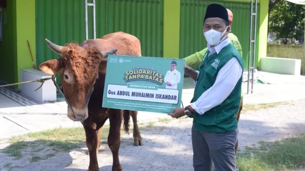 Nusantara Berkurban Program Lazisnu Jatim Untuk Layani Umat Saat Idul Adha Nu Online Jatim 2333