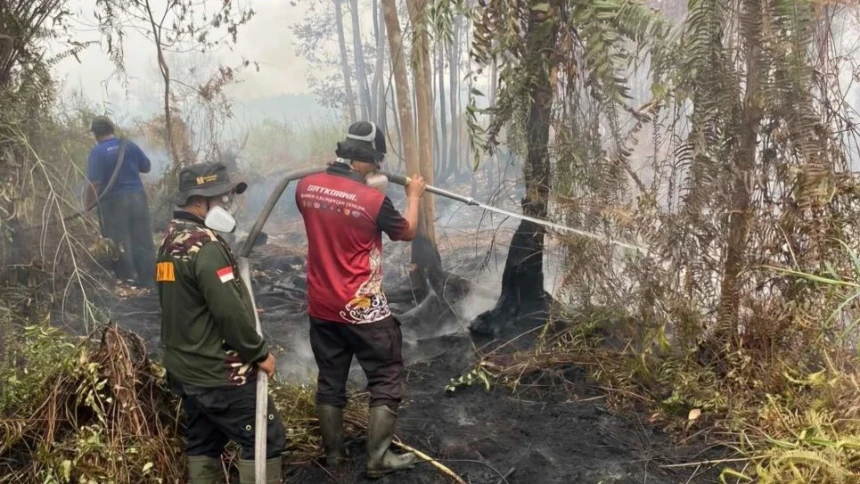 Data BNPB: 623 Hektare Lahan Terbakar di 11 Provinsi, Papua Selatan Terancam Asap Lintas Batas