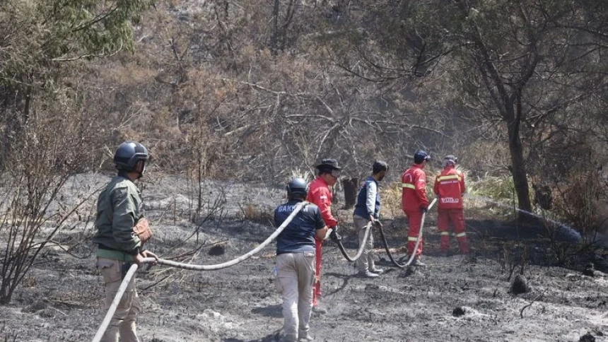 Usai 13 Hari Terbakar, Menhut Umumkan Gunung Bromo Dibuka Kembali 20 Agustus