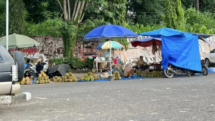 Berburu Durian di Bungo-Jambi, Harga Murah dan Matang di Pohon