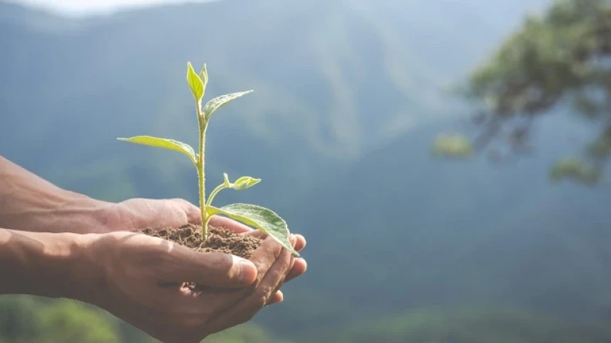 9 Ayat Al-Qur’an tentang Menjaga Lingkungan