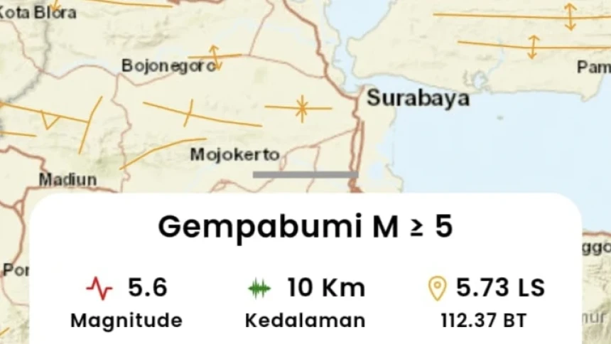 Gempa M 5,6 Guncang Tuban Sore Ini, Dirasakan hingga Kendal