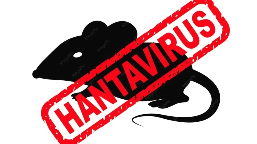 Waspada, Infeksi Hantavirus dari Tikus Bisa Serang Paru-Paru dan Ginjal Sekaligus
